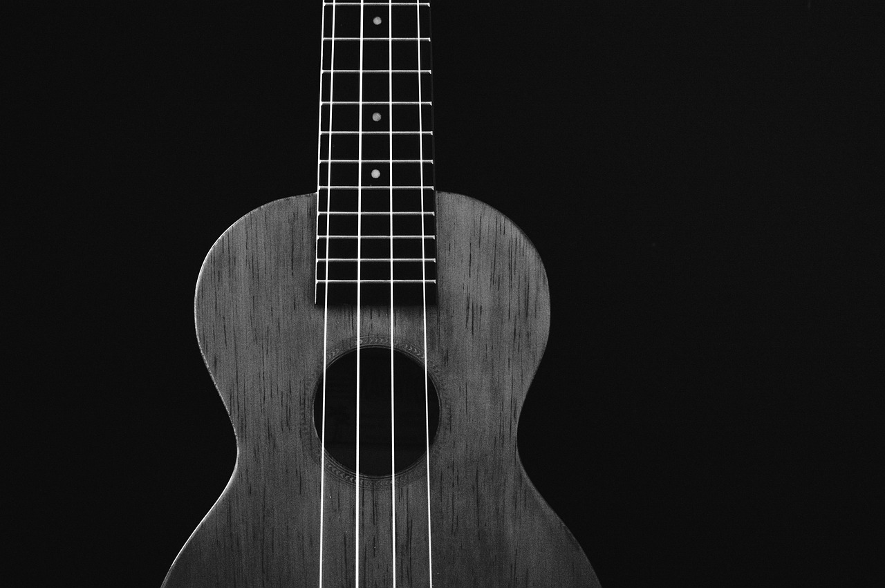 ukulele, acoustic, instrument, music, musical, strings, entertainment